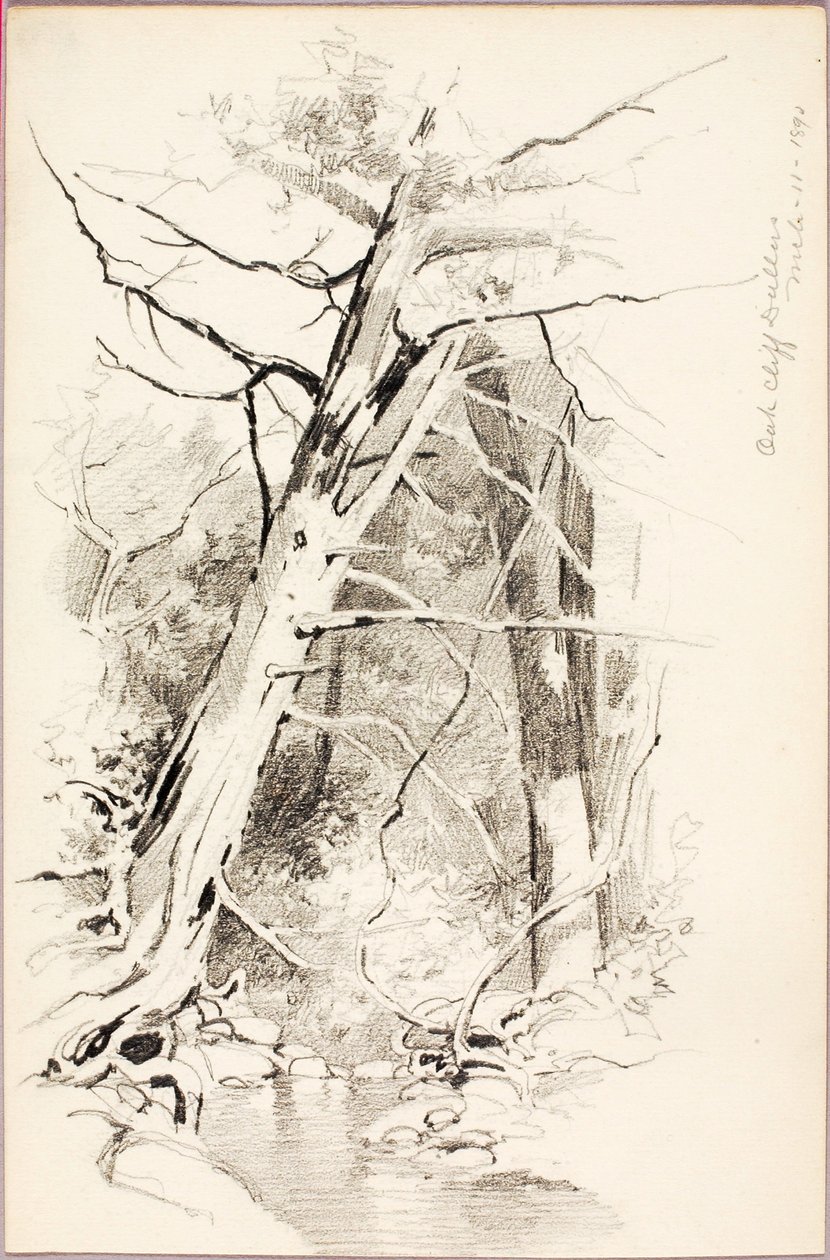 Oak Cliff, Dallas autorstwa George Elbert Burr
