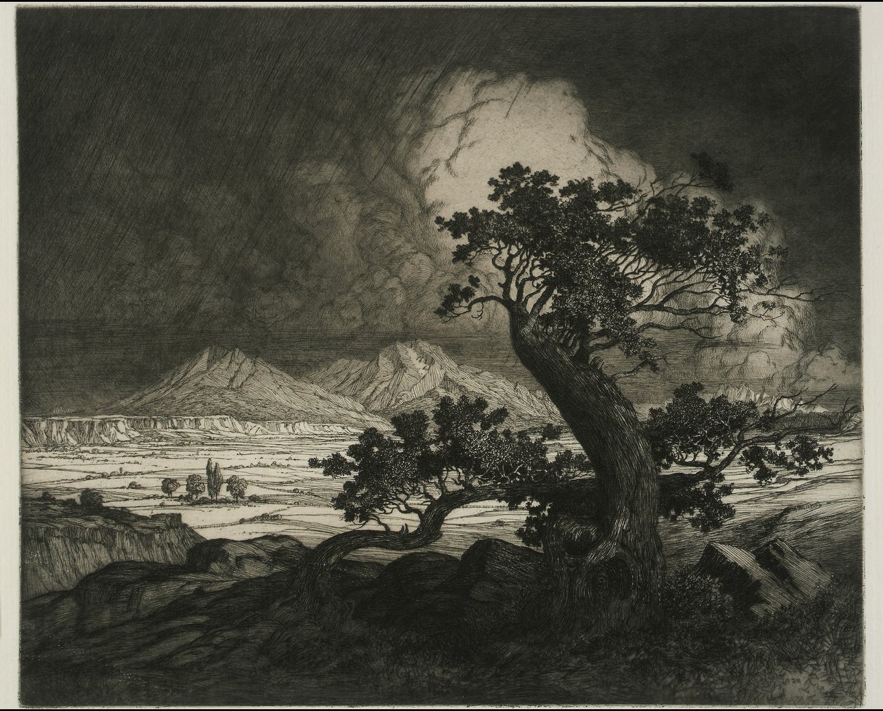 Old Cedars i Spanish Peaks autorstwa George Elbert Burr