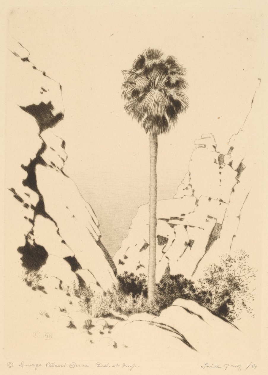 Kanion Palmowy (nr 1) autorstwa George Elbert Burr