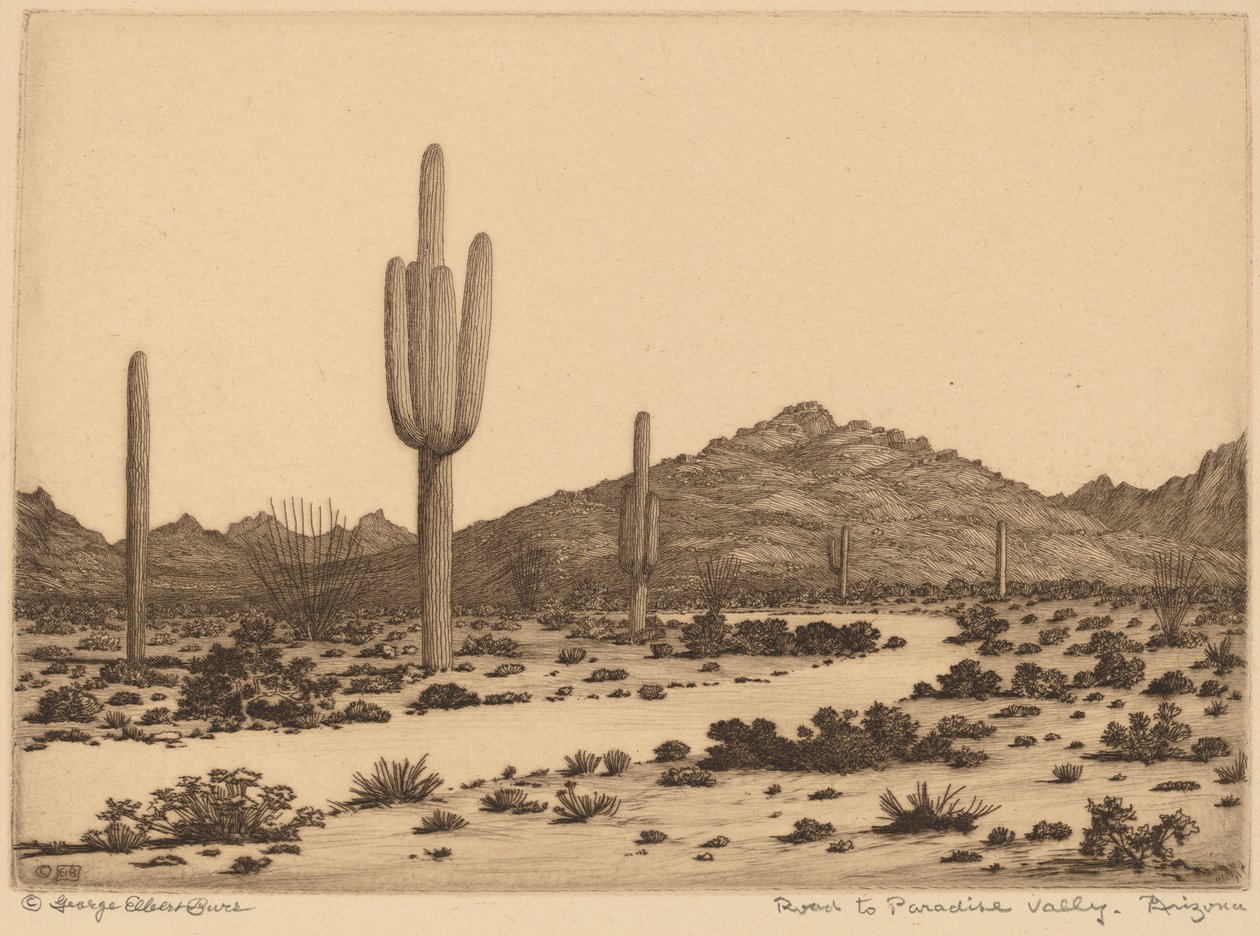 Droga do Paradise Valley, Arizona autorstwa George Elbert Burr