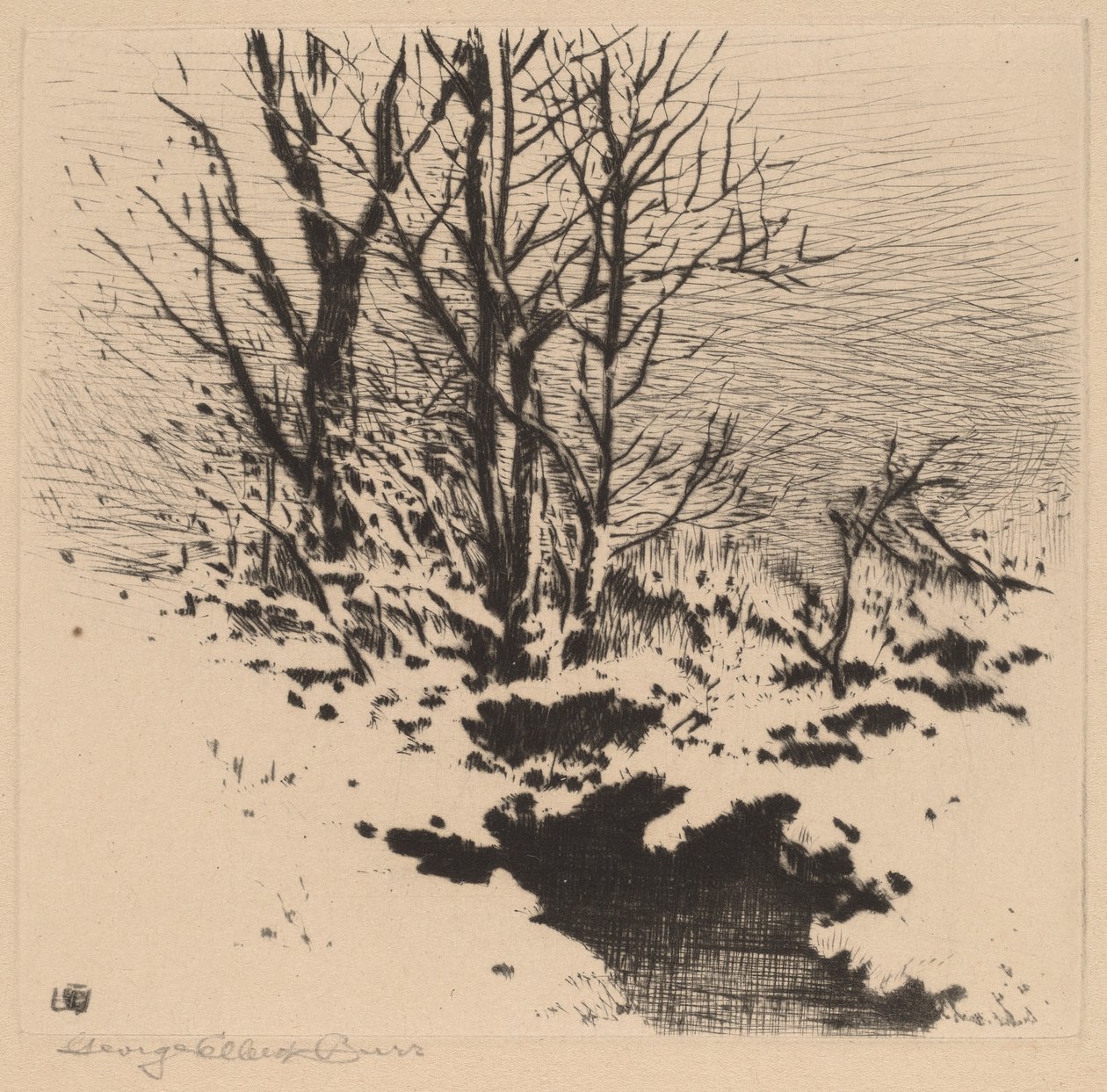 Pierwszy śnieg (nr 2) autorstwa George Elbert Burr