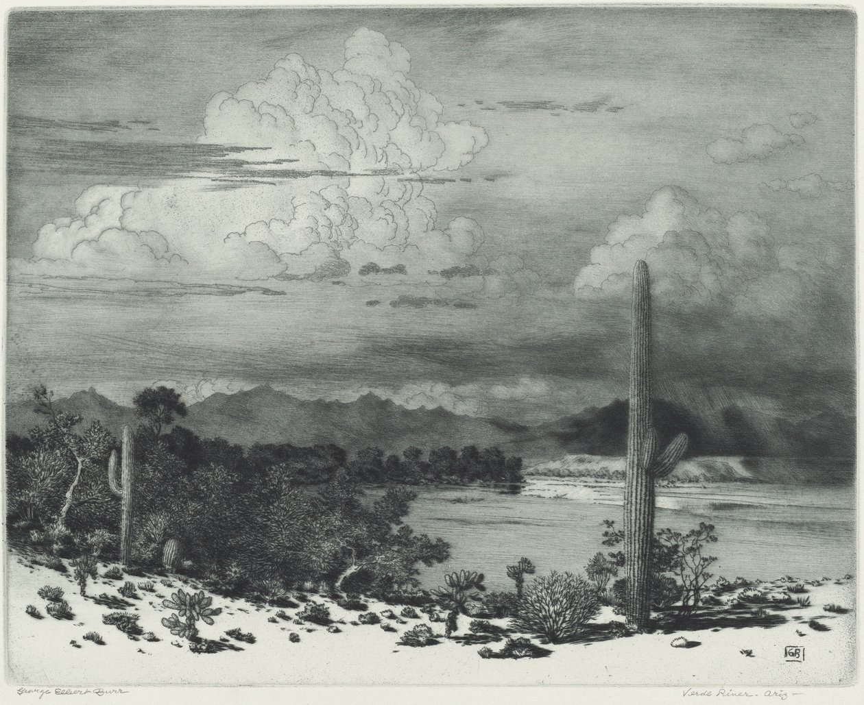 Rzeka Verde, Arizona autorstwa George Elbert Burr