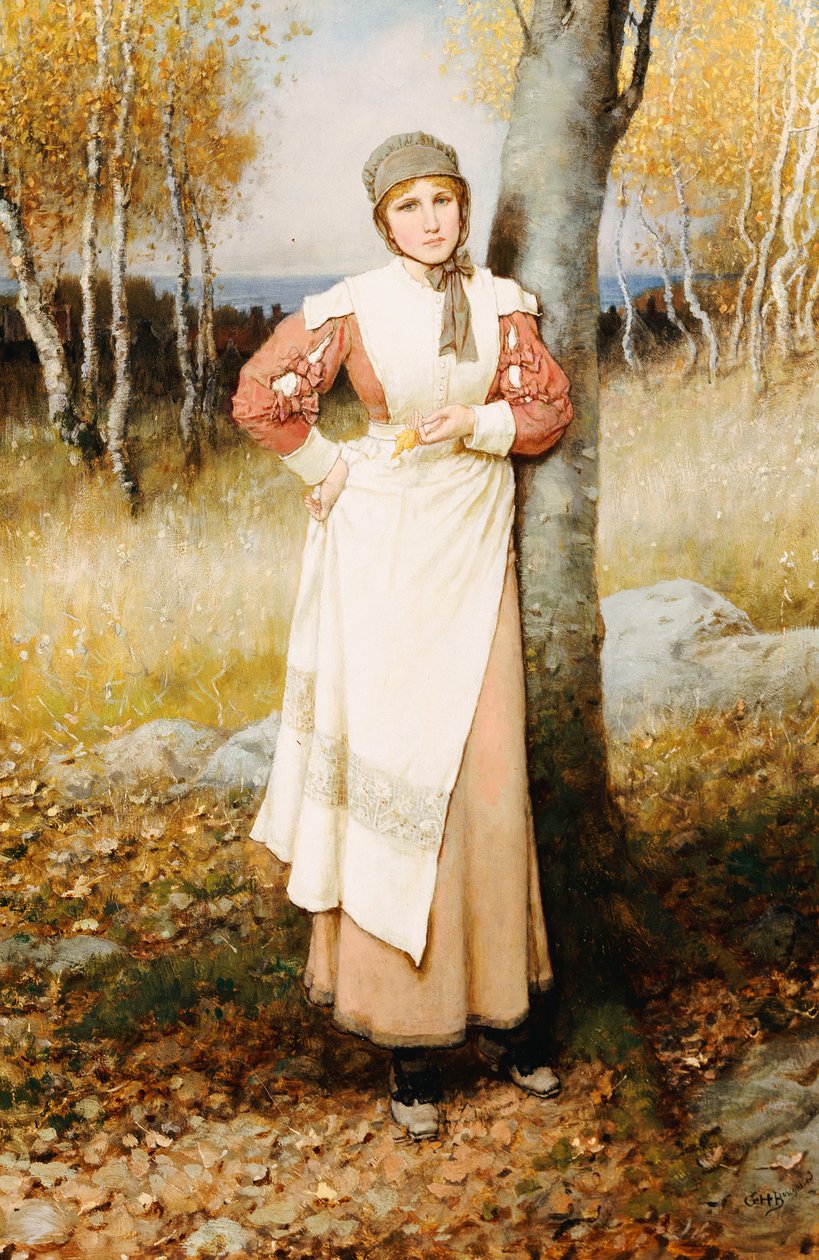 Róża w Nowej Anglii autorstwa George Henry Boughton