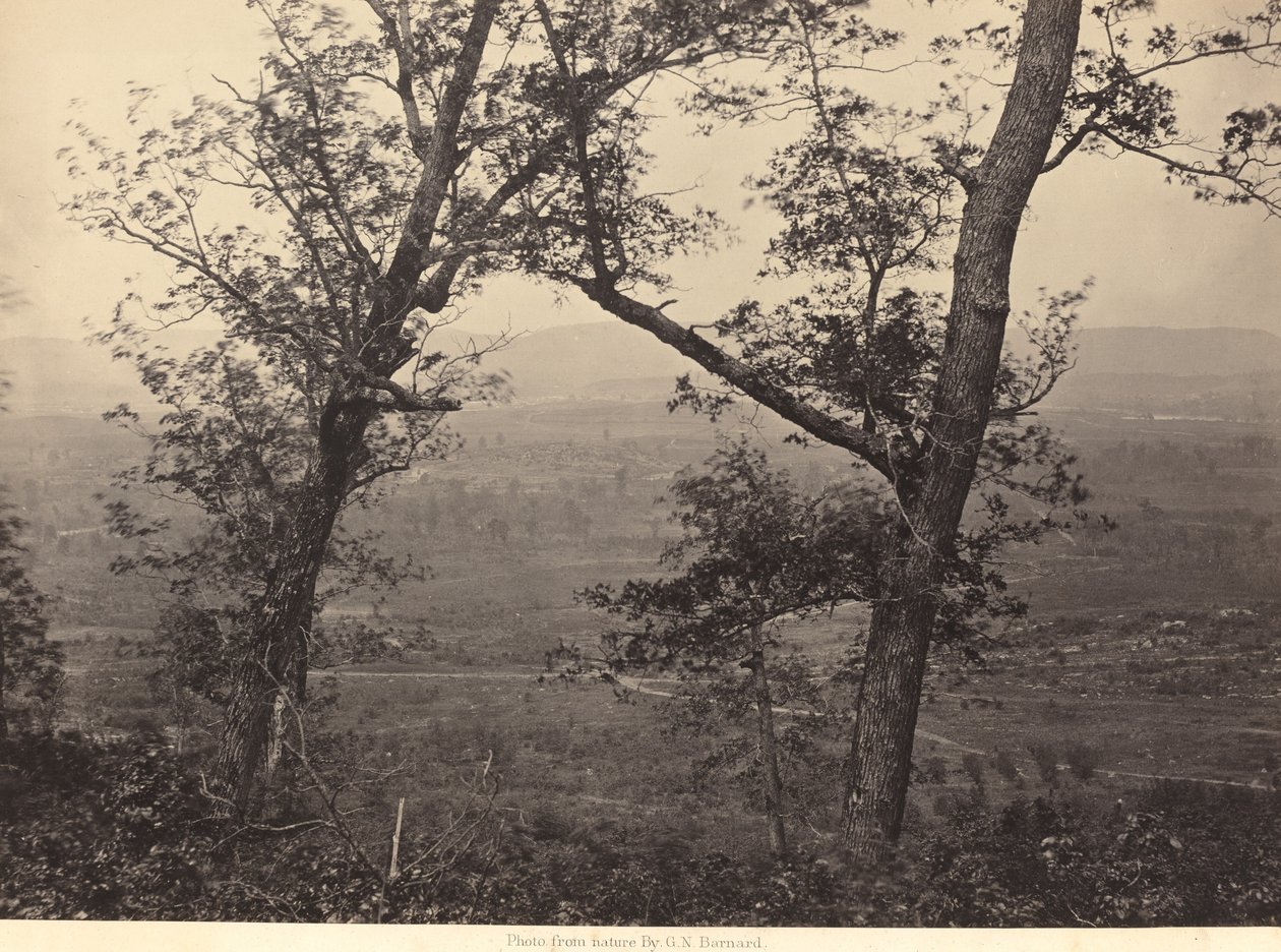 Orchard Gałka z Mission Ridge autorstwa George N. Barnard