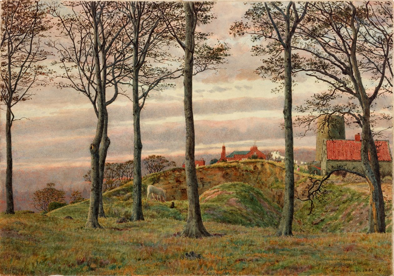 Windmills Hill, Гейтсхед, Польша autorstwa George Price Boyce