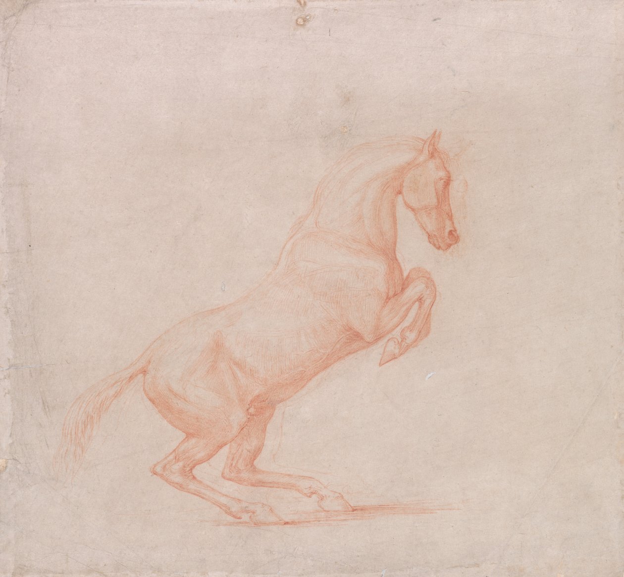 Rozbrykany koń, skierowany w prawo autorstwa George Stubbs