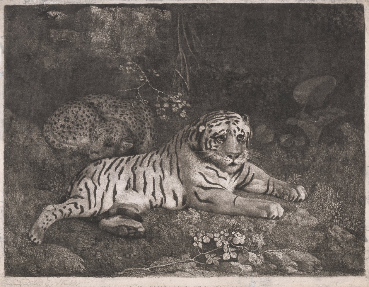 Tygrys i śpiący lampart autorstwa George Stubbs