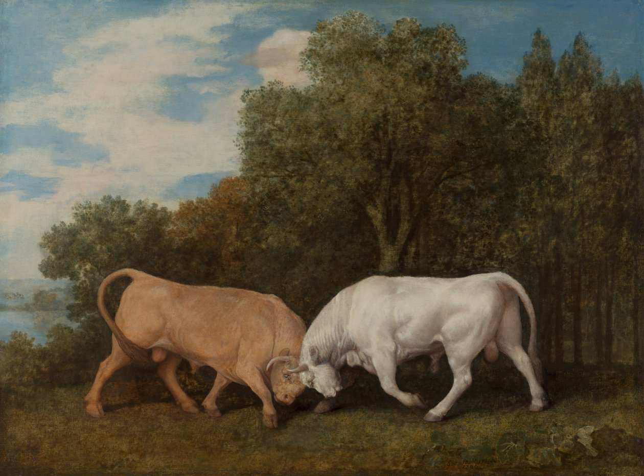 Walka byków autorstwa George Stubbs