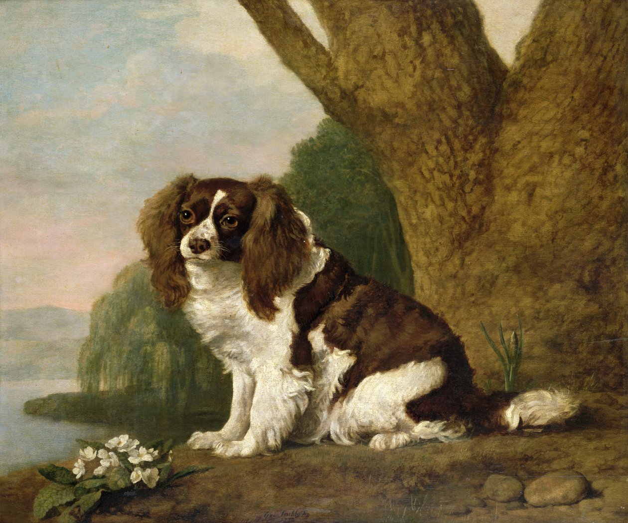 Fanny, brązowo-biały spaniel autorstwa George Stubbs