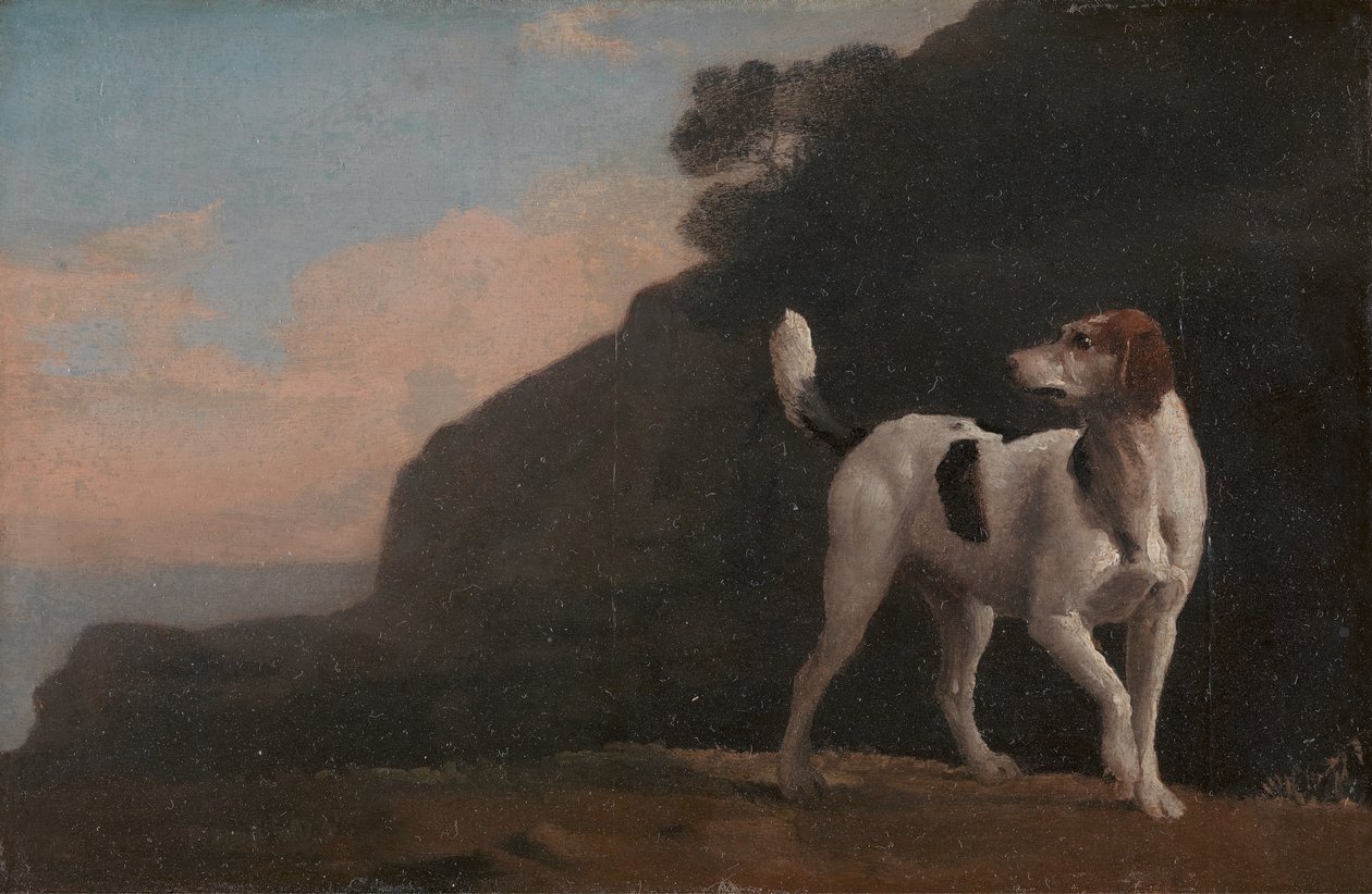 Foxhound, Foxhound, ca. 1760. autorstwa George Stubbs