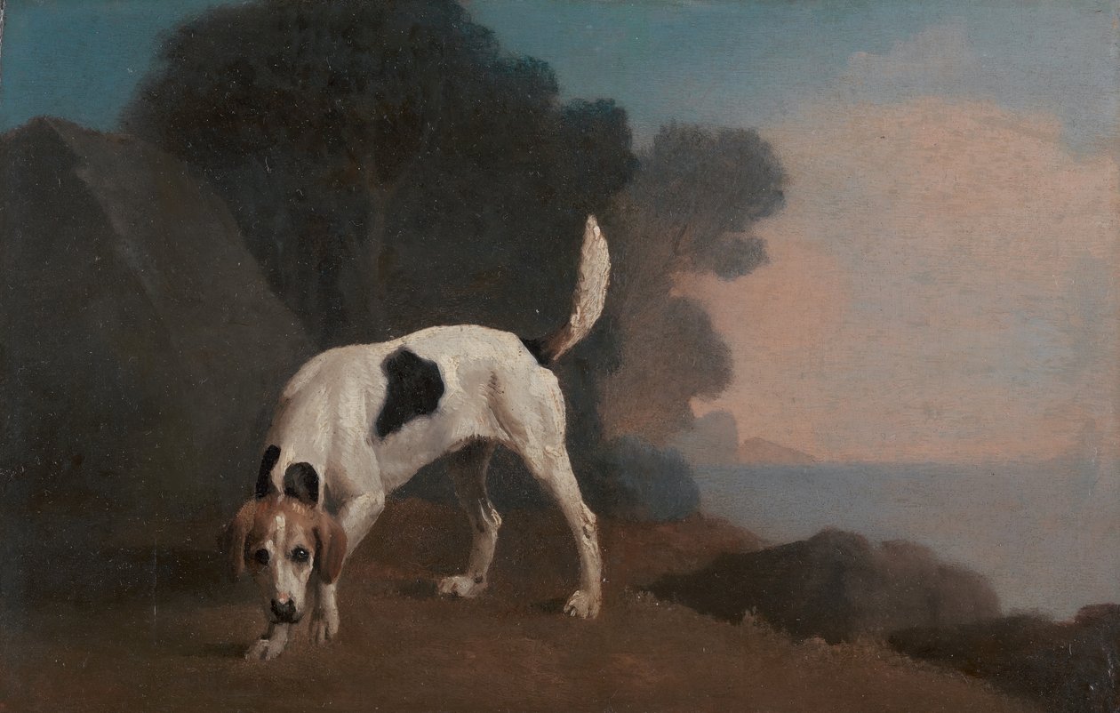 Foxhound, Foxhound na zapachu, ca. 1760. autorstwa George Stubbs
