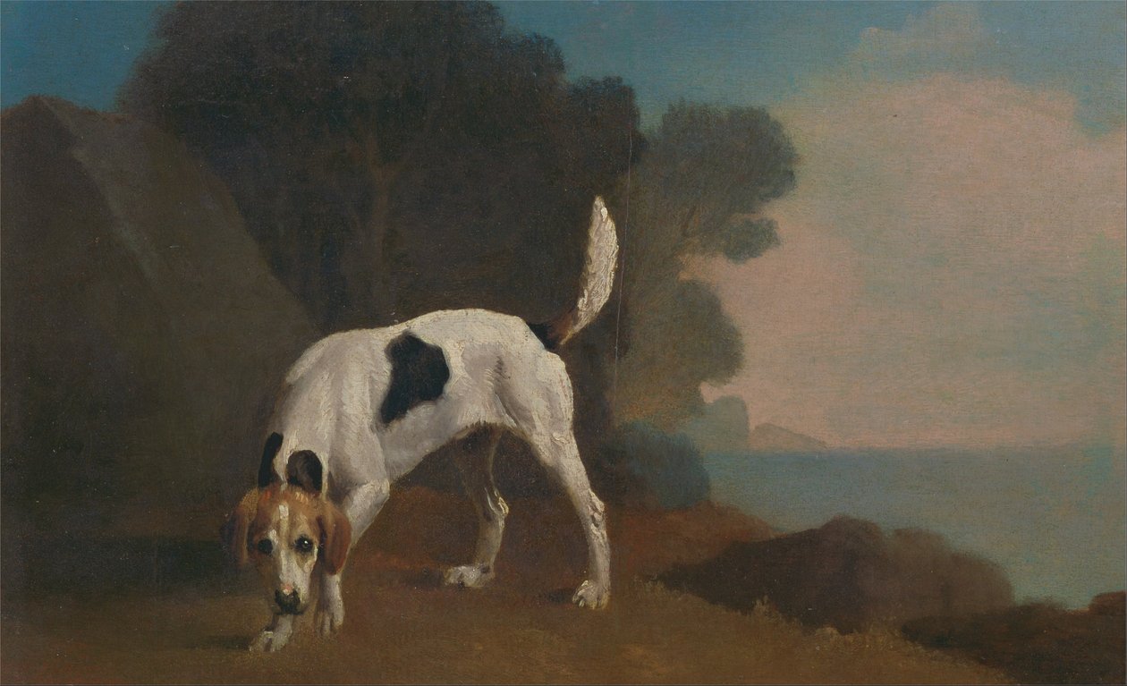 Foxhound autorstwa George Stubbs