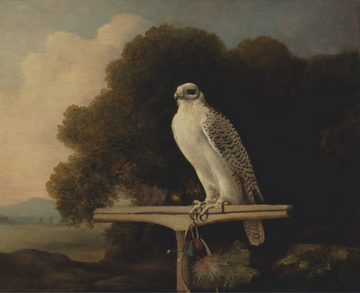 Sokół grenlandzki, Gyr Falcon, 1780. autorstwa George Stubbs