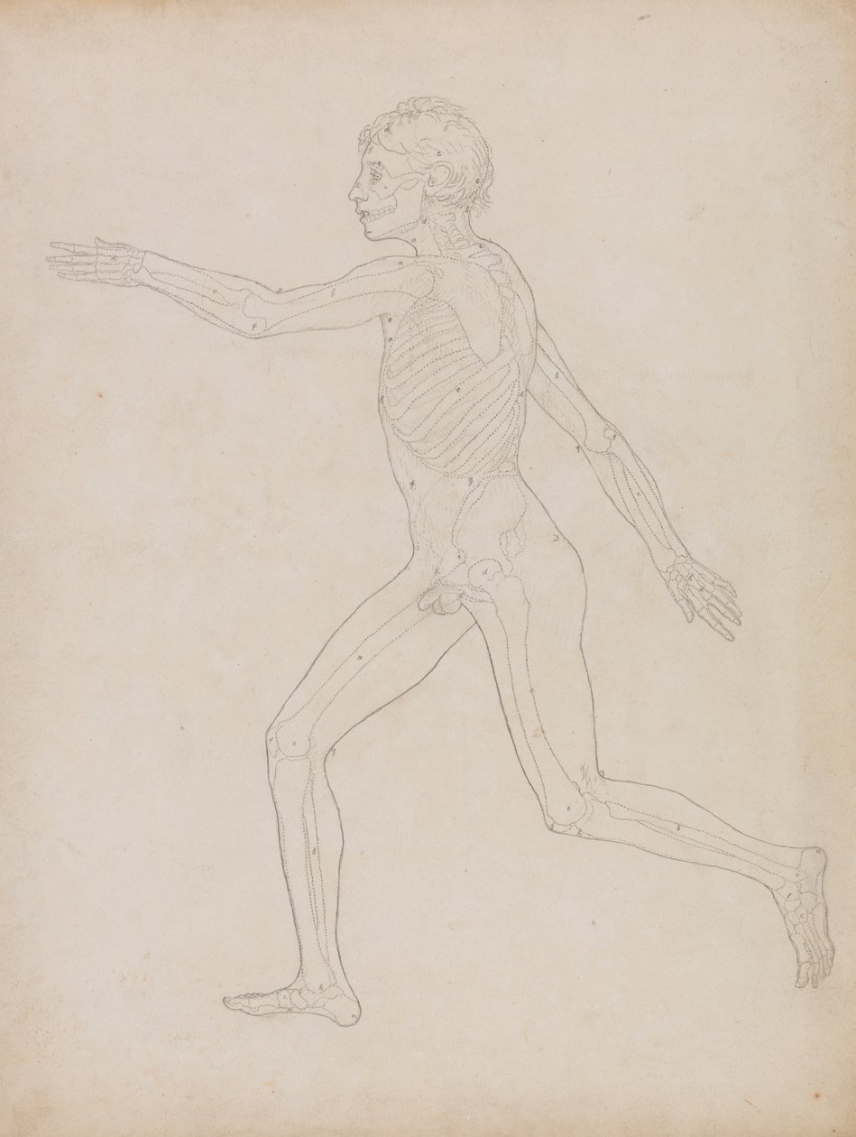 Postać ludzka, widok z boku autorstwa George Stubbs