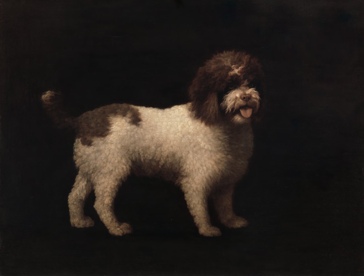 Spaniel wodny, 1769. autorstwa George Stubbs
