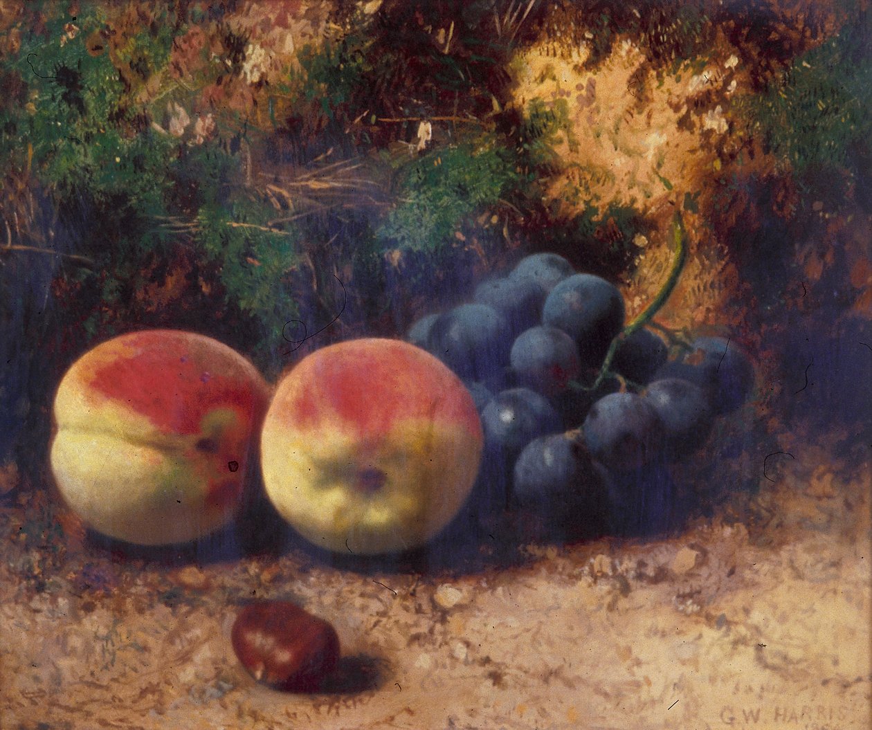 „Brzoskwinie i winogrona”, 1864 autorstwa George Walter Harris