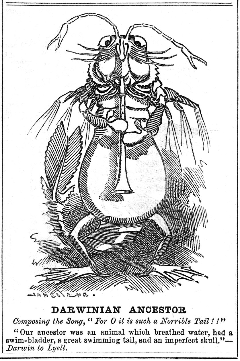 Darwinowski przodek, 1887 autorstwa George du Maurier