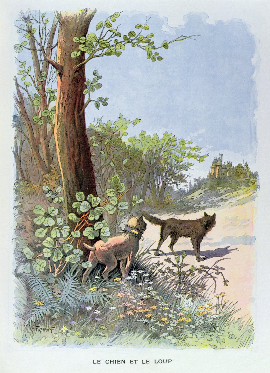 Pies i wilk, z „Fables Choisies de la Fontaine” Jeana de La Fontaine (1621-95), wydanej przez Librairies-Imprimies Reunies (kolorowe grawerowanie) autorstwa Georges Fraipont