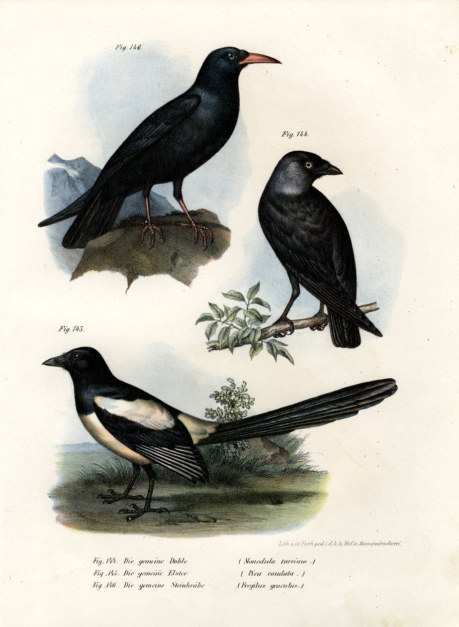 Świt, 1864 autorstwa German School