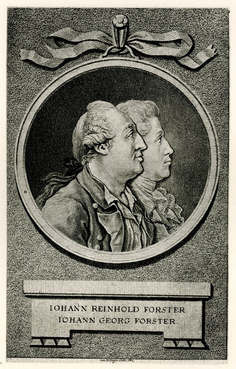 Johann Georg Forster autorstwa German School