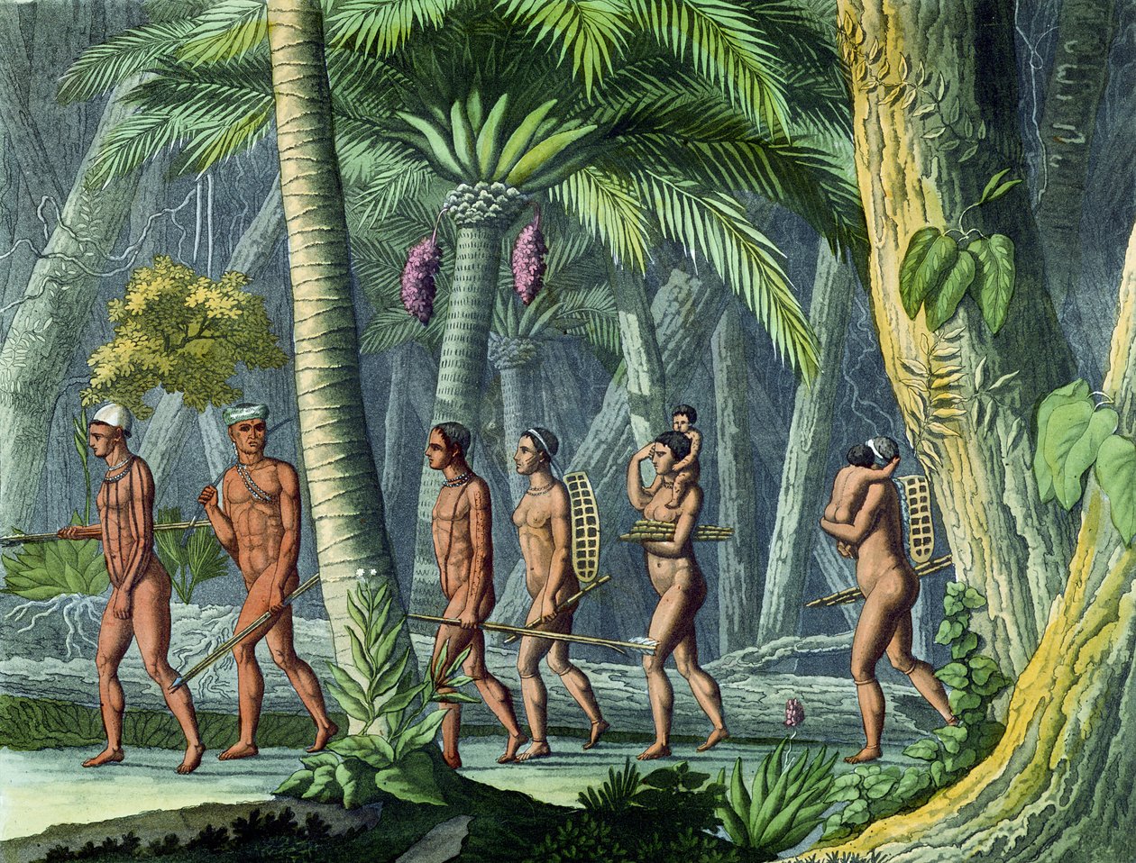 Puris w swoim lesie, z „Le Costume Ancien et Moderne”, autorstwa Julesa Ferrario, opublikowanej ok. 1820 r. (rycina kolorowa) (zob. także 116129) autorstwa Gerolamo Fumagalli