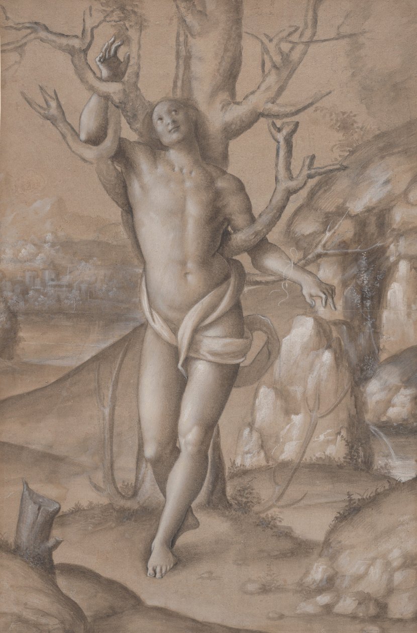 Św. Sebastian, ca. 1524. autorstwa Gerolamo Giovenone