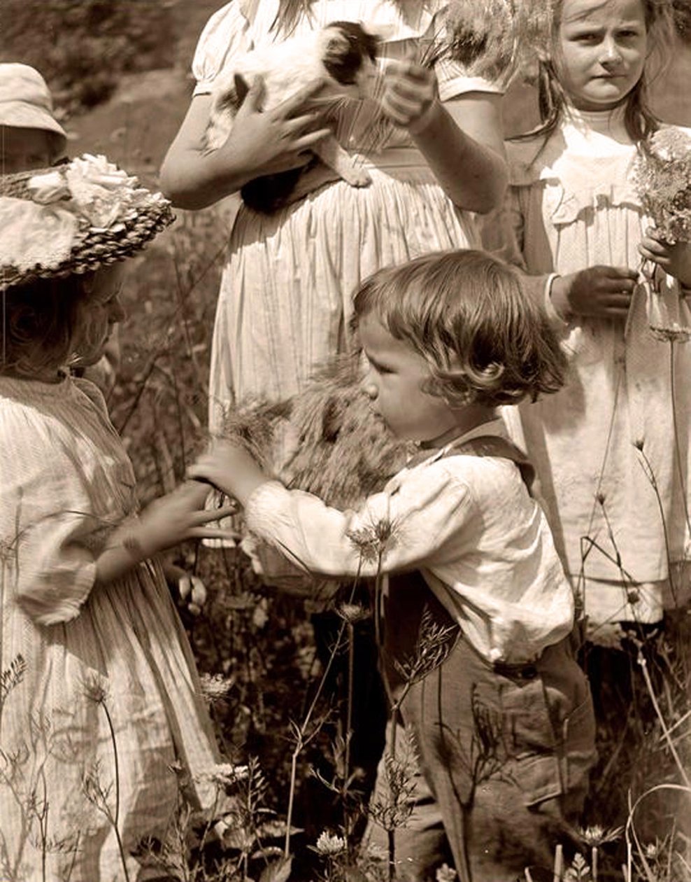 Szczęśliwe dni 1902 Gertrude Kasebier (1852-1934). autorstwa Gertrude Käsebier