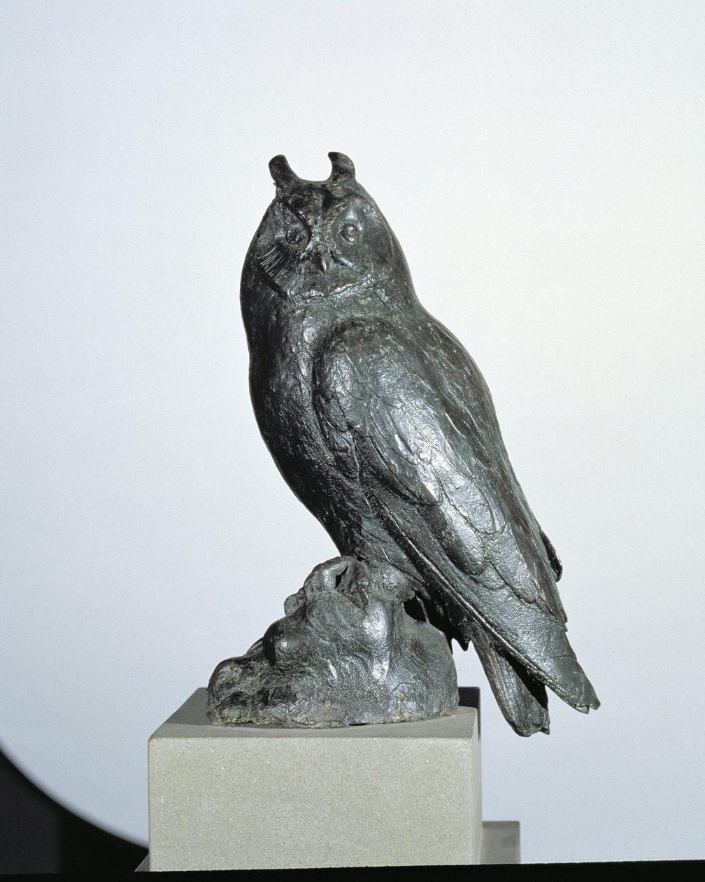 Sowa (brąz) autorstwa Giambologna