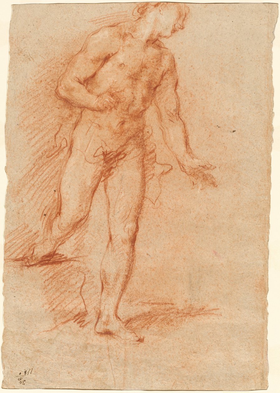 Mężczyzna nago autorstwa Gian Antonio Guardi