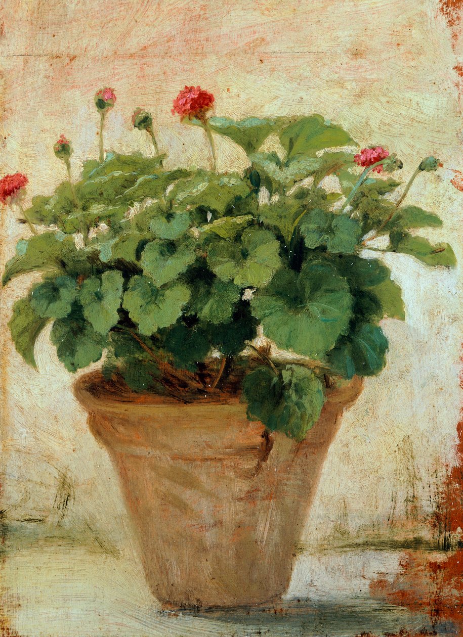 Wazon z geranium (olej na płótnie) autorstwa Gioacchino Toma