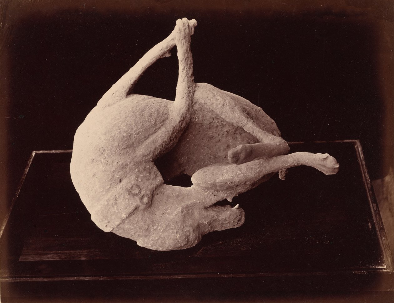 Odlew, Pompeje, ok. 1870 (zdjęcie) autorstwa Giorgio Sommer