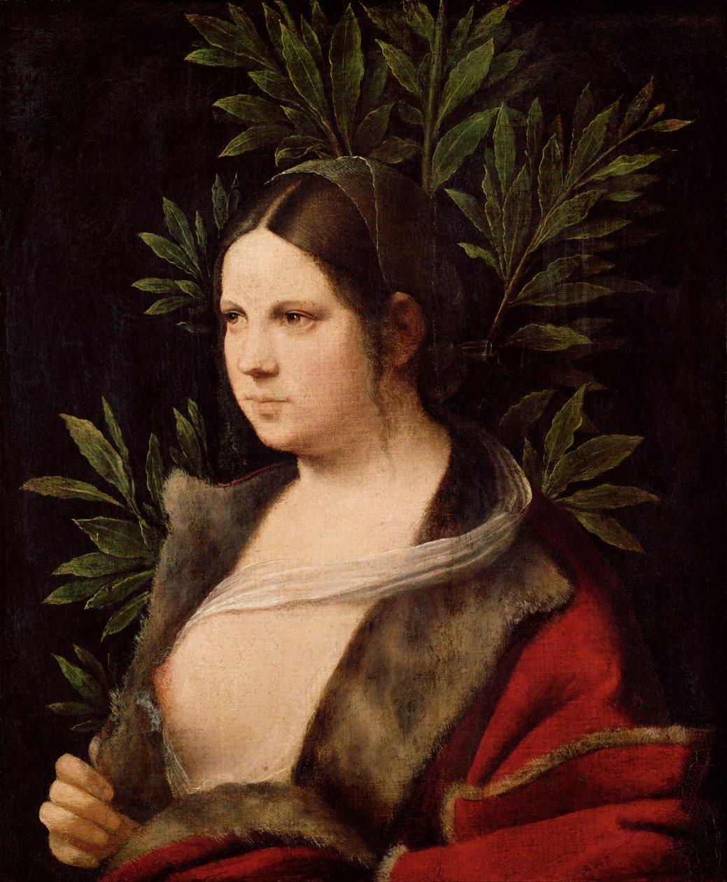 Młoda kobieta ("Laura") autorstwa Giorgione