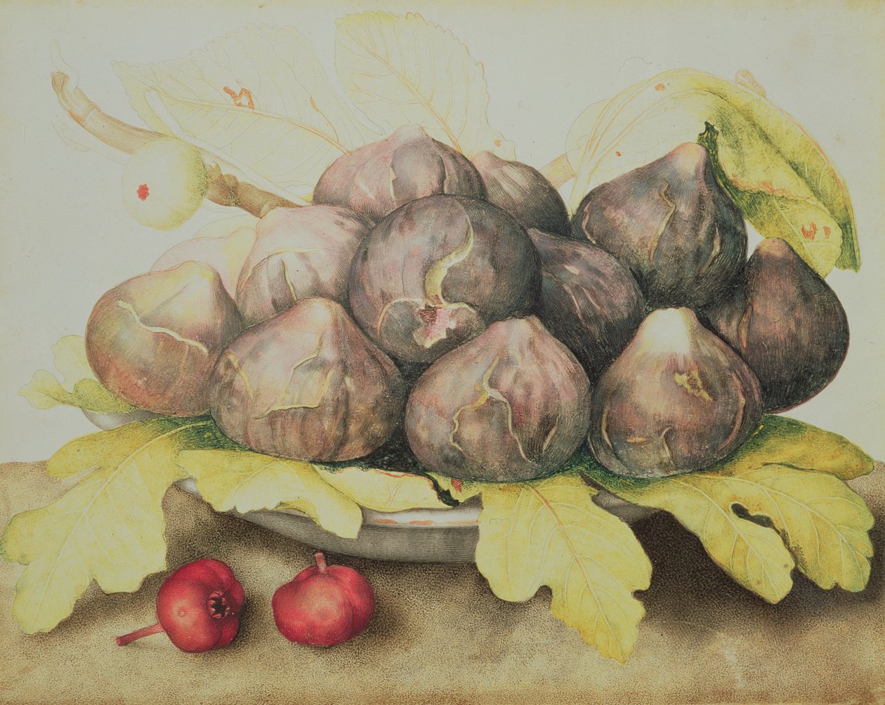 Figi autorstwa Giovanna Garzoni