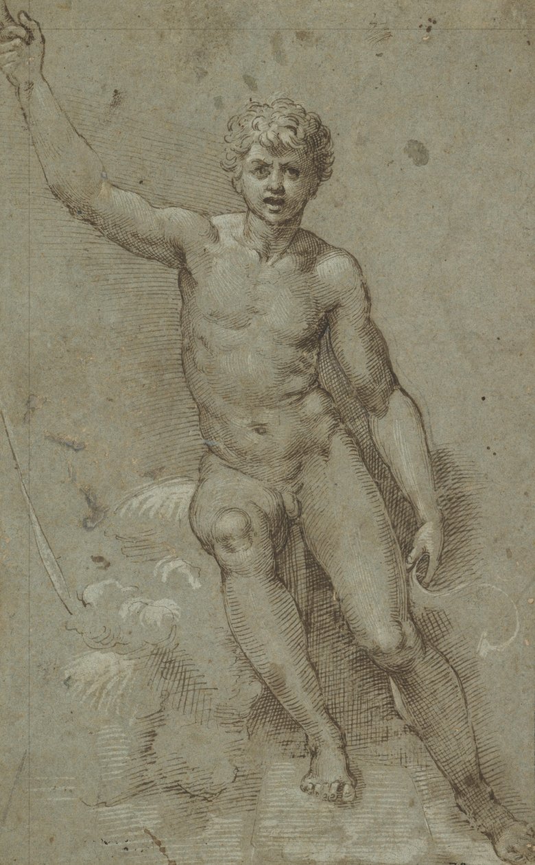 Święty Jan na pustkowiu autorstwa Giovanni Francesco Penni