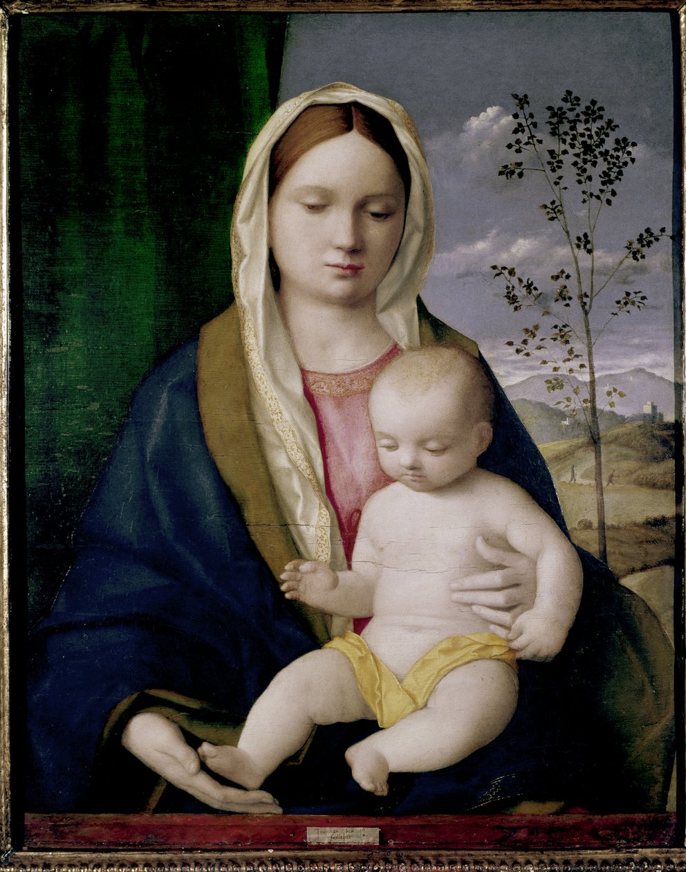 Madonna z Dzieciątkiem autorstwa Giovanni Bellini