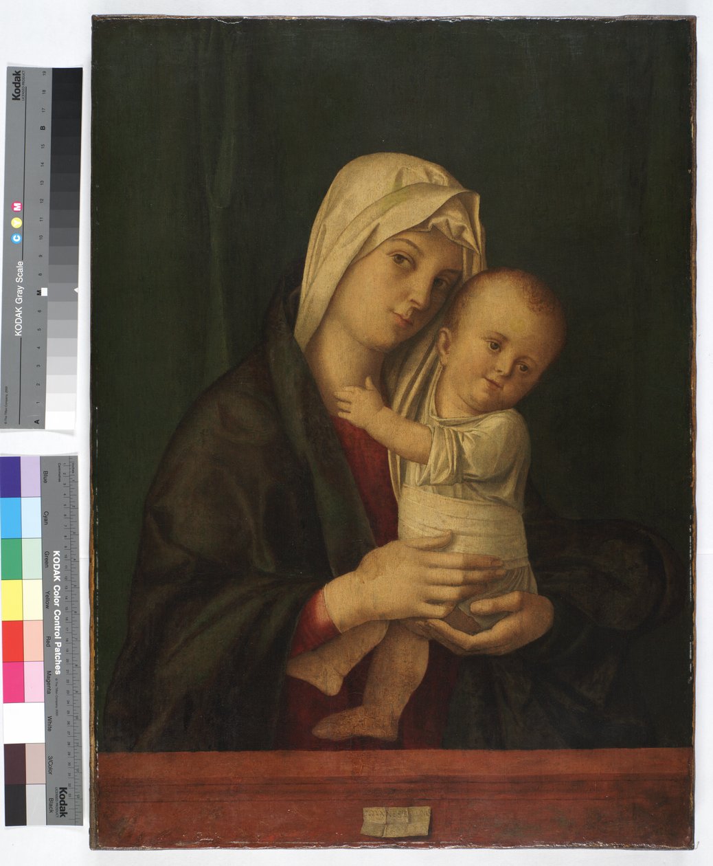 Madonna z Dzieciątkiem, ok. 1489 (olej na płótnie) autorstwa Giovanni Bellini