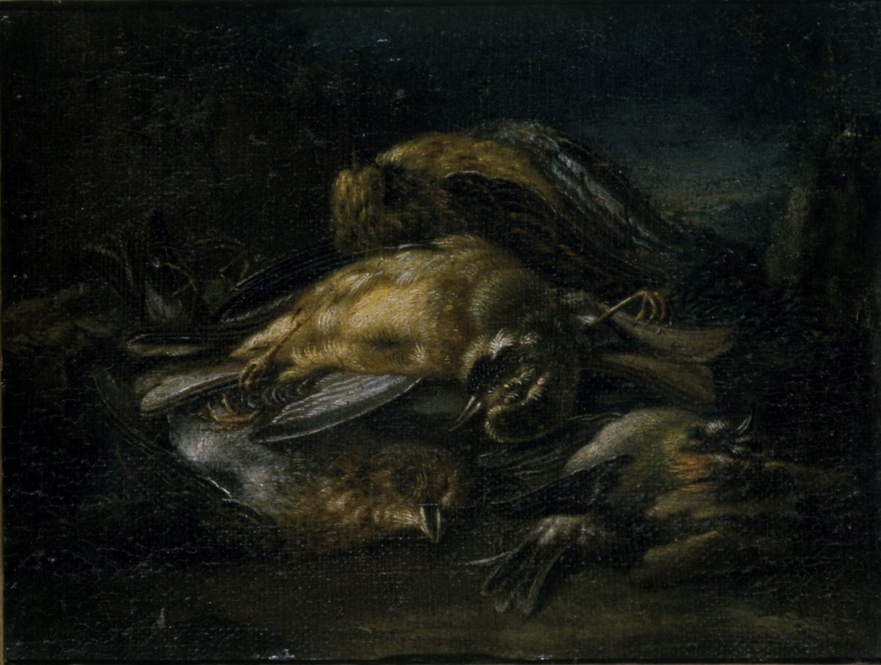 Martwy ptak, 1664 autorstwa Giovanni Benedetto Castiglione