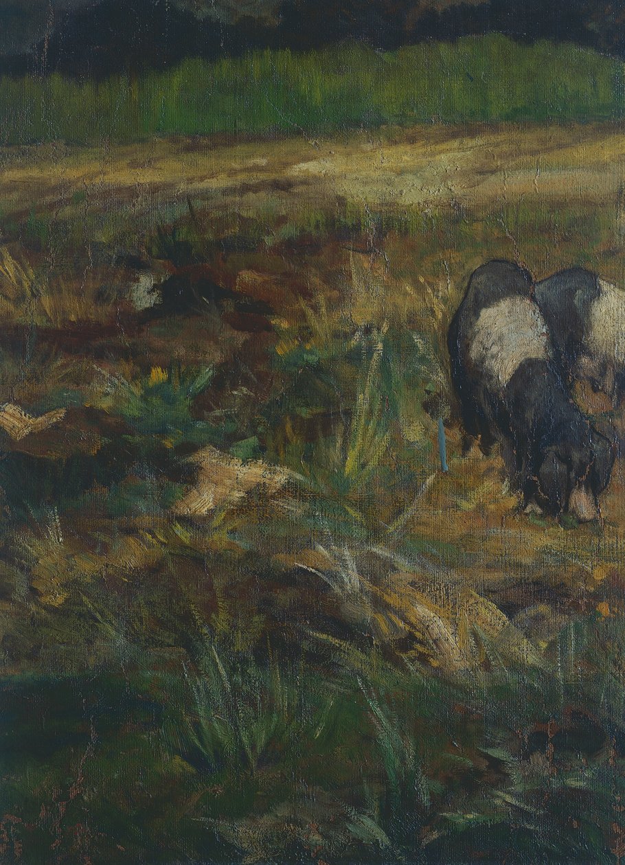 Maremma Toskańska, detal (olej na płótnie) autorstwa Giovanni Fattori