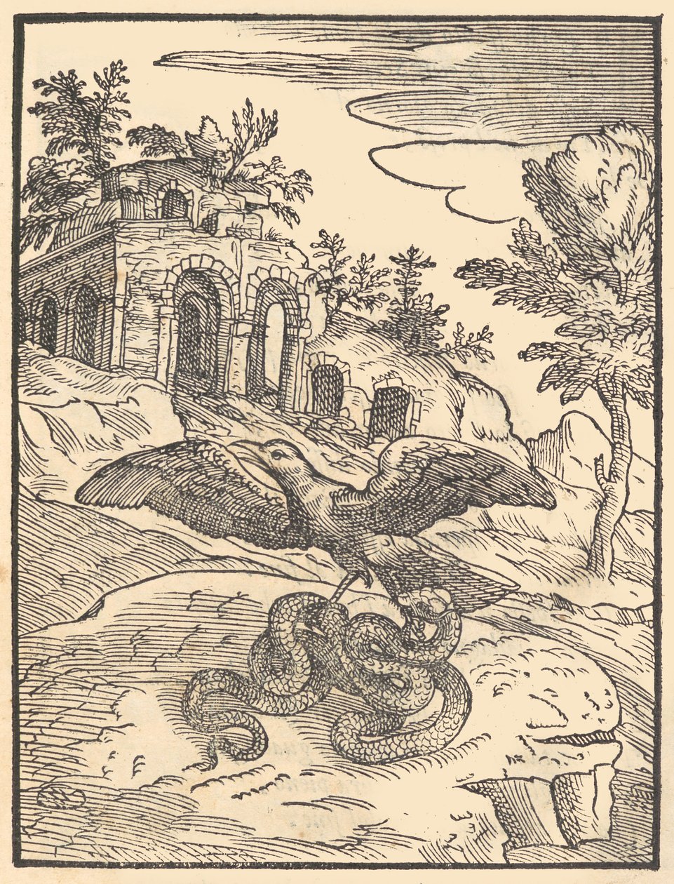 Ptak i wąż, 1570. autorstwa Giovanni Maria Verdizotti