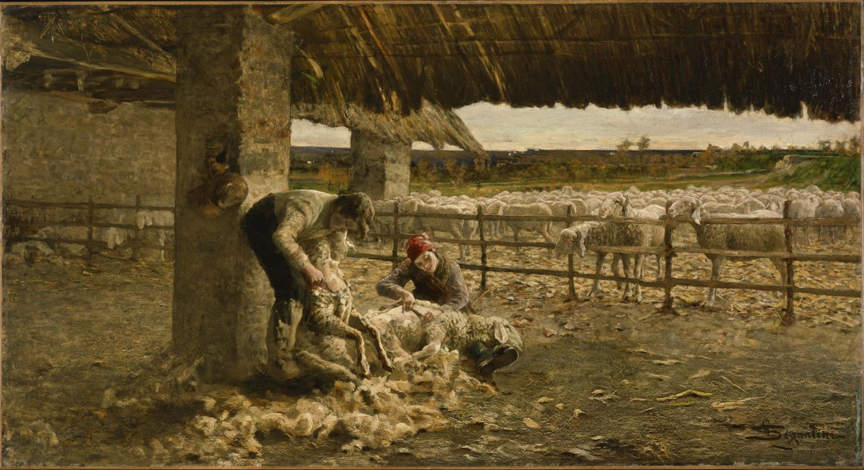 Strzyżenie owiec, 1883-1884 autorstwa Giovanni Segantini
