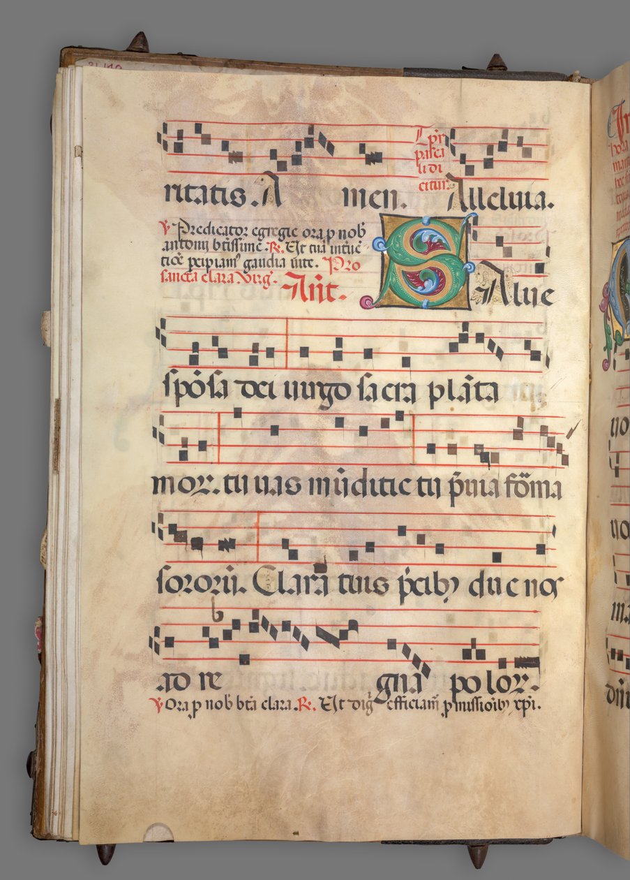 Stopniowy, ok. 1520. autorstwa Girolamo dai Libri