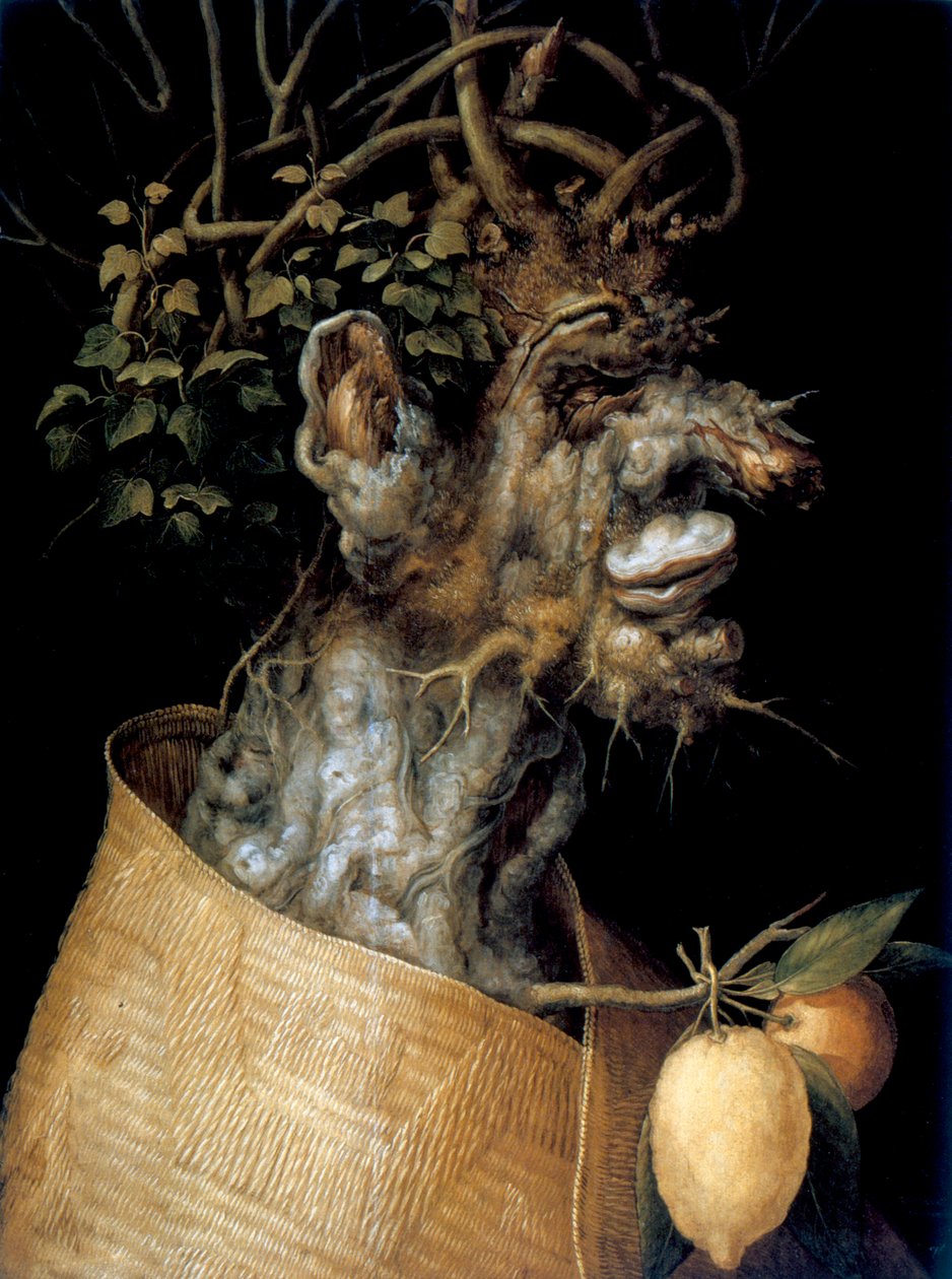 Zima, 1563 autorstwa Giuseppe Arcimboldi