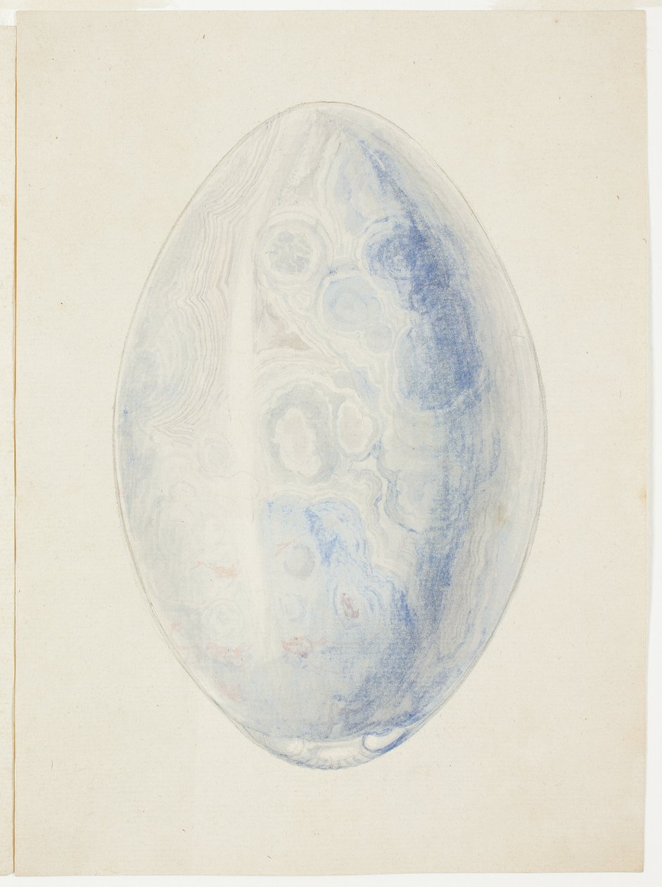 Przegląd kamieni Oval Shell Stone autorstwa Giuseppe Grisoni
