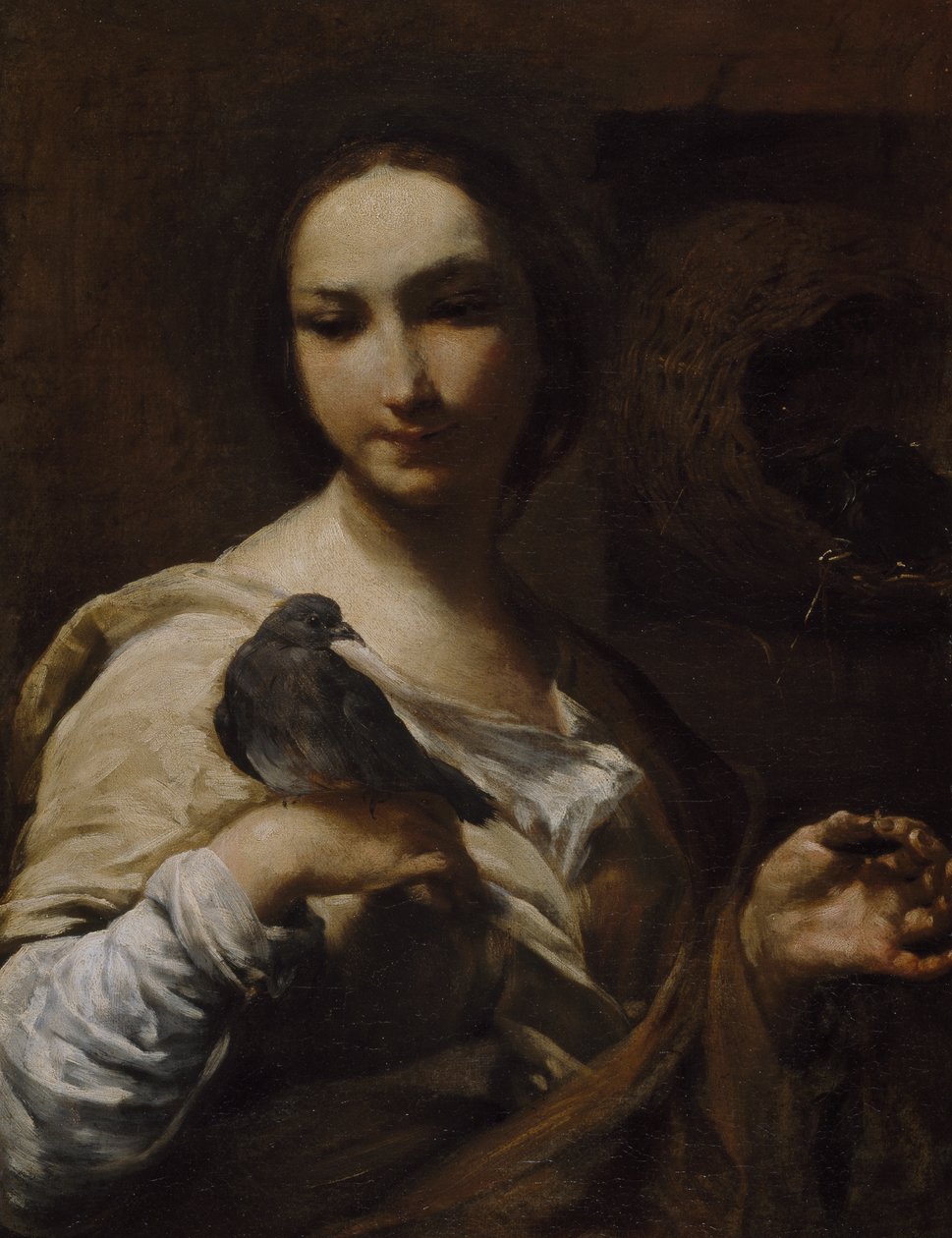 Dziewczynka trzymająca gołębia, 1721-27 autorstwa Giuseppe Maria Crespi