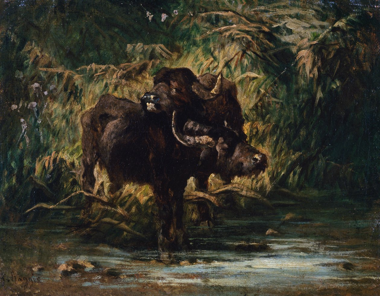 Młode bawoły autorstwa Giuseppe Raggio