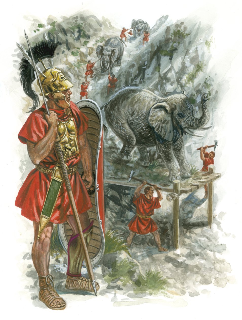 Macedońskie wojny Rzymu autorstwa Giuseppe Rava