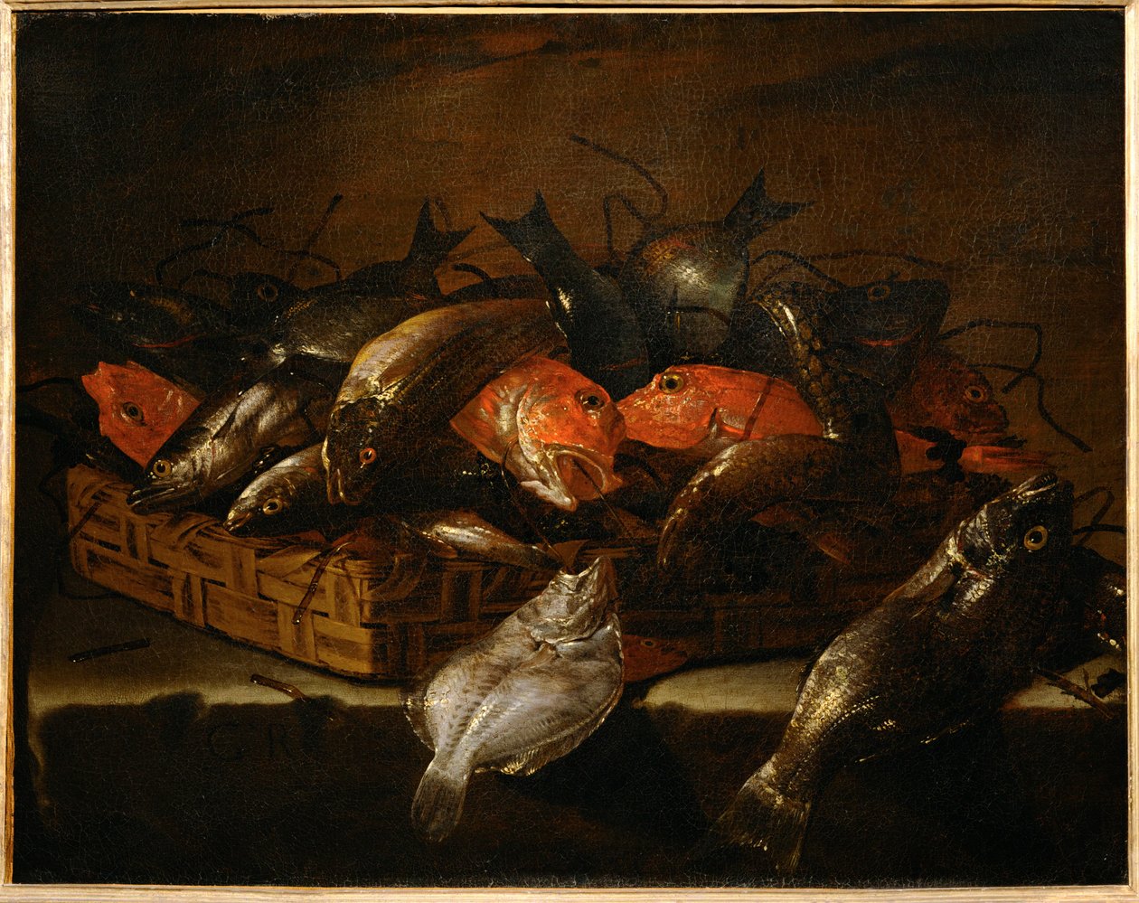 Martwa natura z rybą ... autorstwa Giuseppe Recco