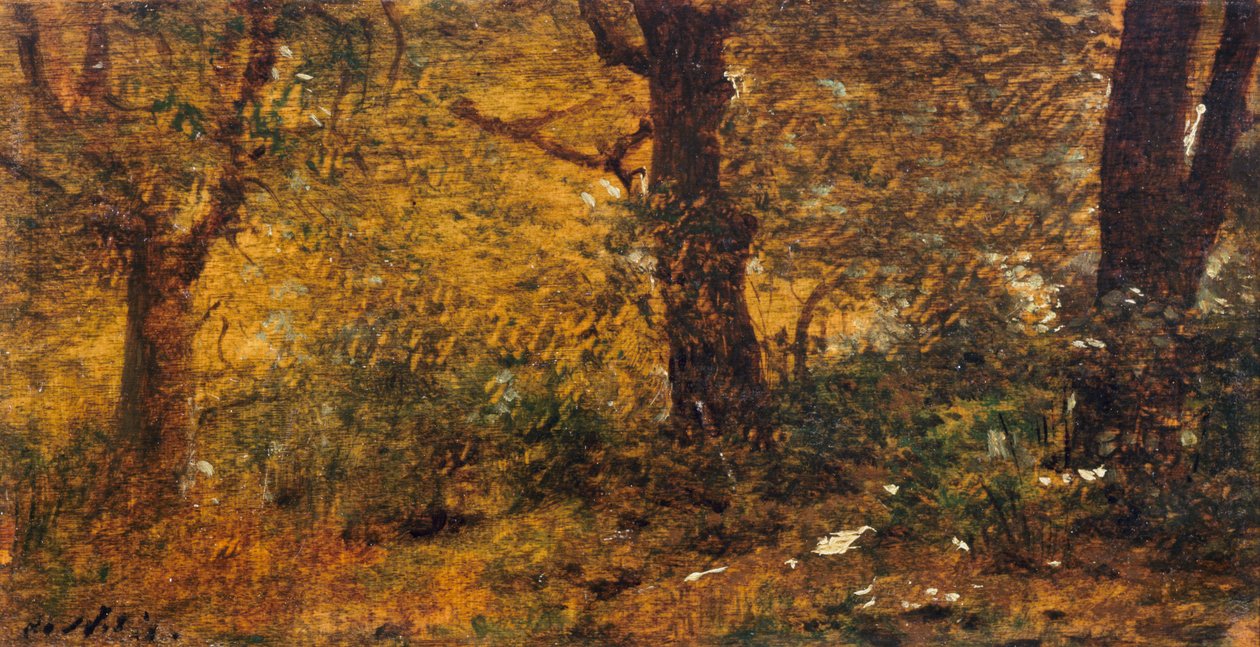 Studium drewna autorstwa Giuseppe or Joseph de Nittis