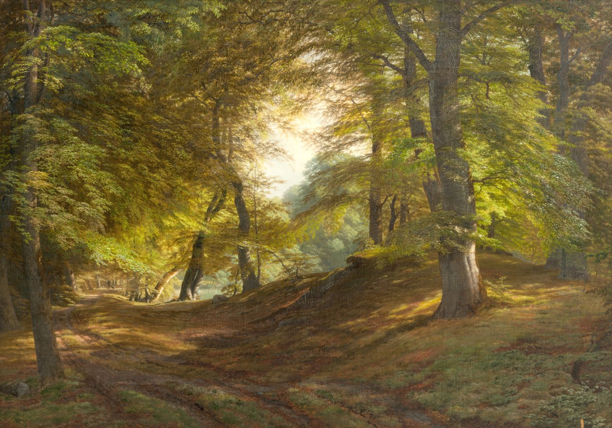 Las w pobliżu zamku Frederiksborg autorstwa Godtfred Rump