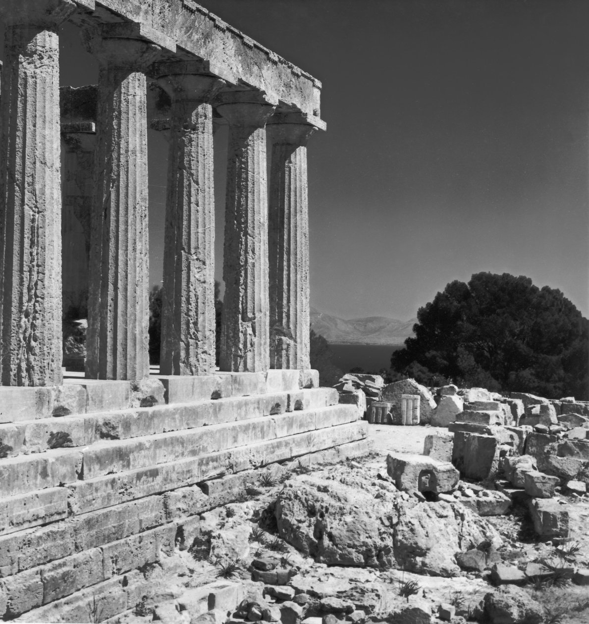 Świątynia Aphaea autorstwa Greek